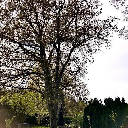 Luett Heidjer Hus 5 Sterne Dtv Casa de Férias