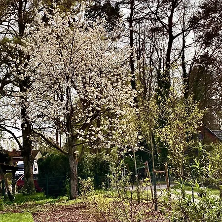 Casa de Férias Luett Heidjer Hus 5 Sterne Dtv