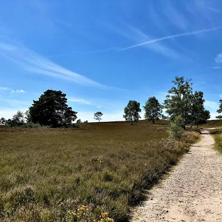 Luett Heidjer Hus 5 Sterne Dtv