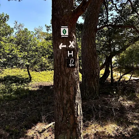 Luett Heidjer Hus 5 Sterne Dtv * Buchholz in der Nordheide