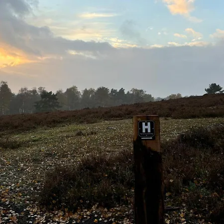 Luett Heidjer Hus 5 Sterne Dtv Buchholz in der Nordheide