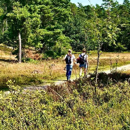 Luett Heidjer Hus 5 Sterne Dtv