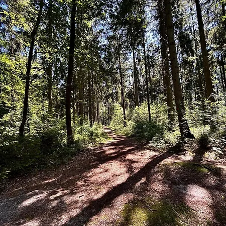 Luett Heidjer Hus 5 Sterne Dtv * Buchholz in der Nordheide