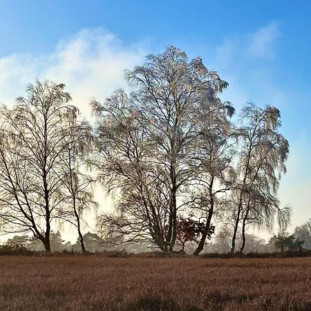 Casa de Férias Luett Heidjer Hus 5 Sterne Dtv