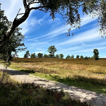 Luett Heidjer Hus 5 Sterne Dtv