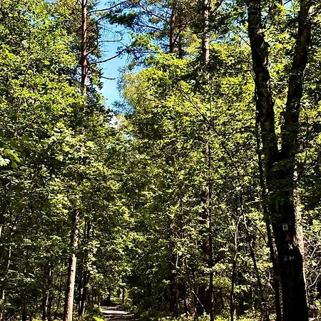 Luett Heidjer Hus 5 Sterne Dtv Casa de Férias Buchholz in der Nordheide